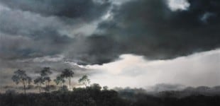 Save the Forest